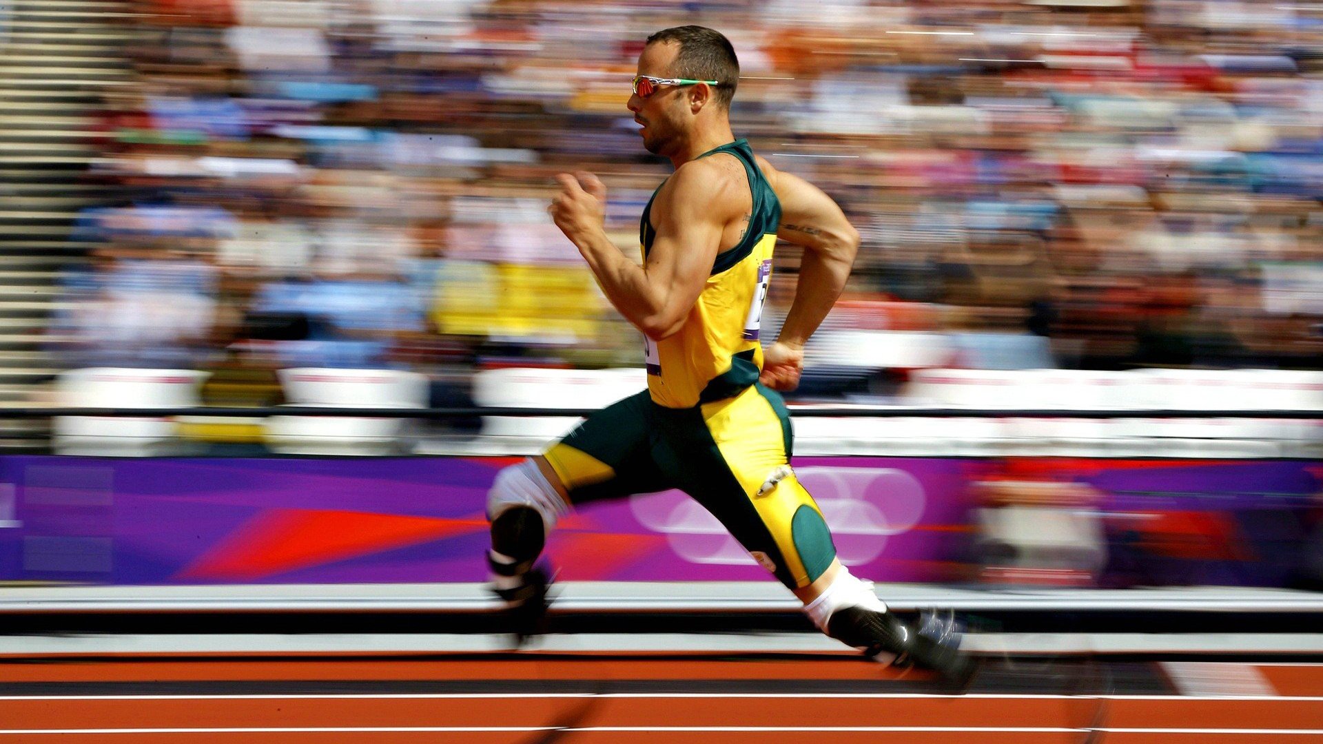 德约科维奇回归赛场,败北首场状态亮眼,塞尔维亚队观众沸腾!